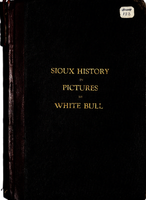 cover of Sioux History in Pictures by White Bull