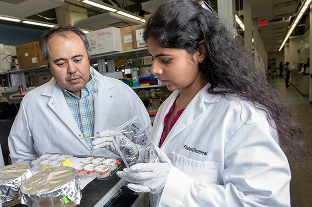As part of yet another of UND's Grand Challenges, researchers at the School of Medicine & Health Sciences are addressing health challenges through basic, clinical and transitional discoveries. Photo by Jackie Lorentz/UND Today.