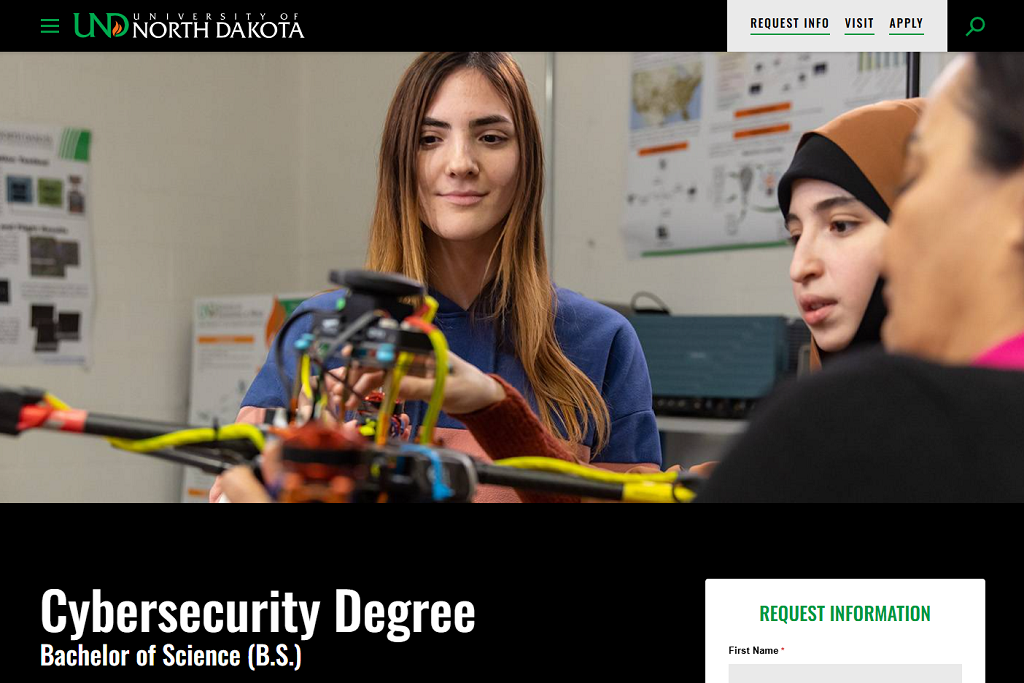 A screenshot of a program information page about cybersecurity.