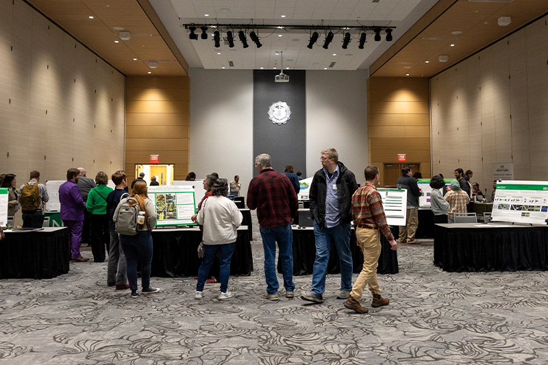 A group of people walk around inside of the University of North Dakota Memorial Union ballroom, reading poster presentations and talking to each other.