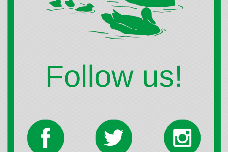 Follow us on facebook, twitter, and instagram!