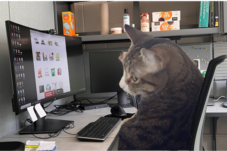 cat at a computer