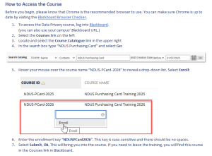 Screenshot - Pcard Training Access