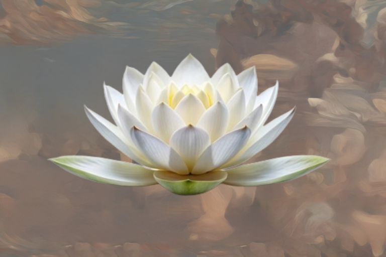 A sepia-toned background with clouds. In the center is a large white lotus flower.