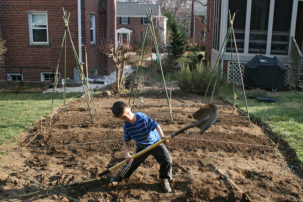 Kid shoveling dirt