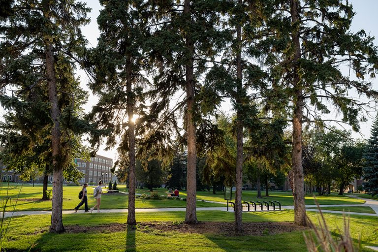 Students walking across quad as sun filters through trees in foreground