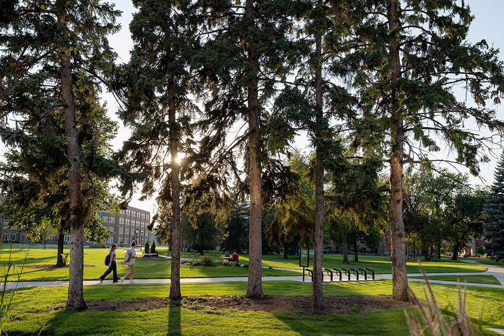 Students walking across quad as sun filters through trees in foreground
