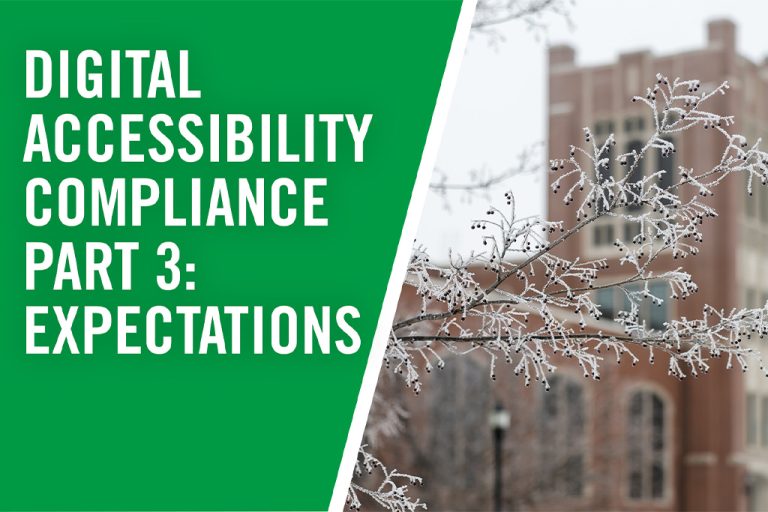 Frozen tree branch with building in background, including text: Digital Accessibility Compliance Part 3, expectations