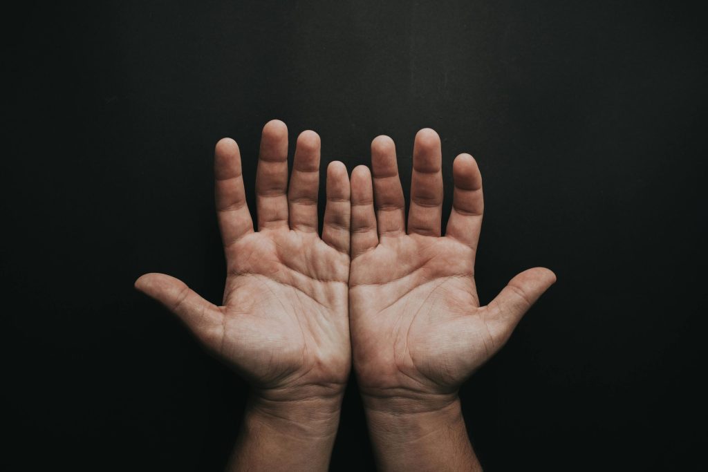 pair of hands
