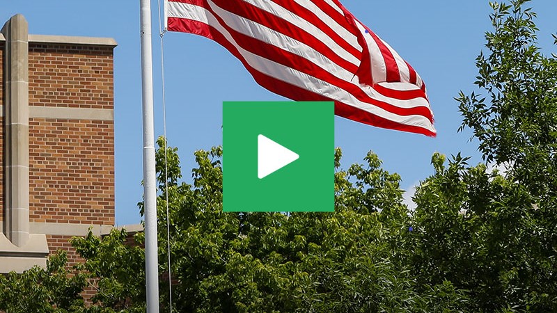Link to veterans day message