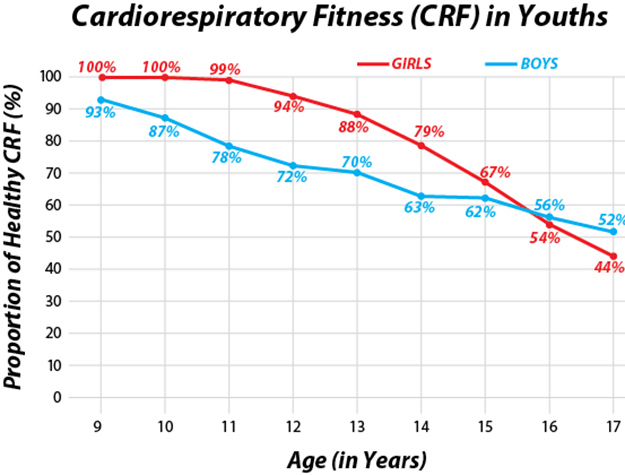 Cardio-respiratory fitness chart
