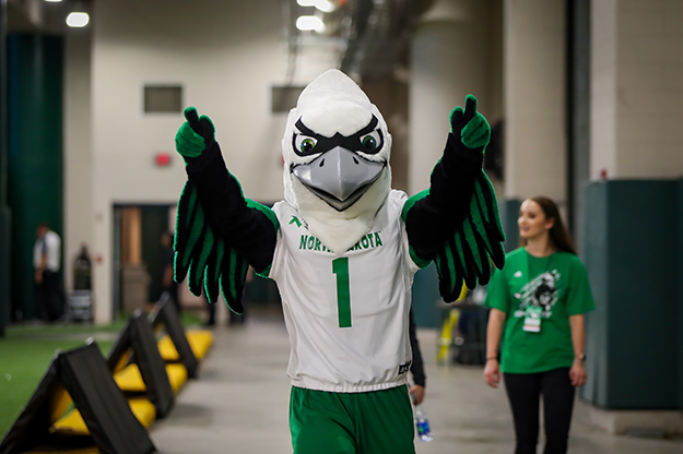 After months of behind-the-scenes effort, the Fighting Hawk is ready to bring the hype to UND sporting events. Its next appearance is scheduled for the volleyball team's match against NDSU on Wednesday (Sept. 26). Photo by Shawna Schill/UND Today.