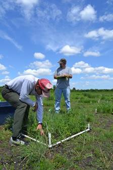 McKenna (left) planted one-meter-by-one-meet plots at UND's Mekinock Field Station, where he studied the effects of differently conditioned soils on 16 plant species. Photo courtesy of Kathryn Yurkonis.