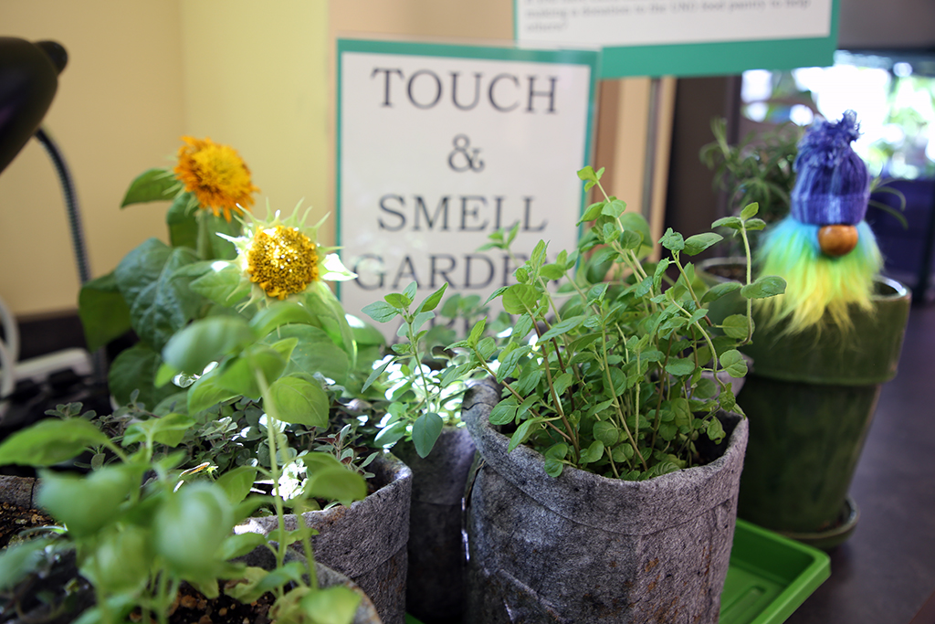 Touch and Smell Garden