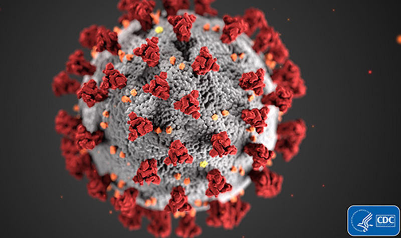 Render of coronavirus structure