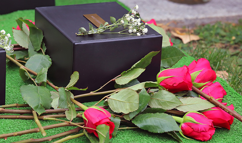 Flowers next to black box