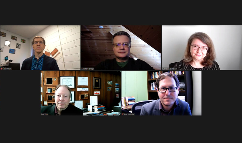 Zoom screenshot of faculty panel