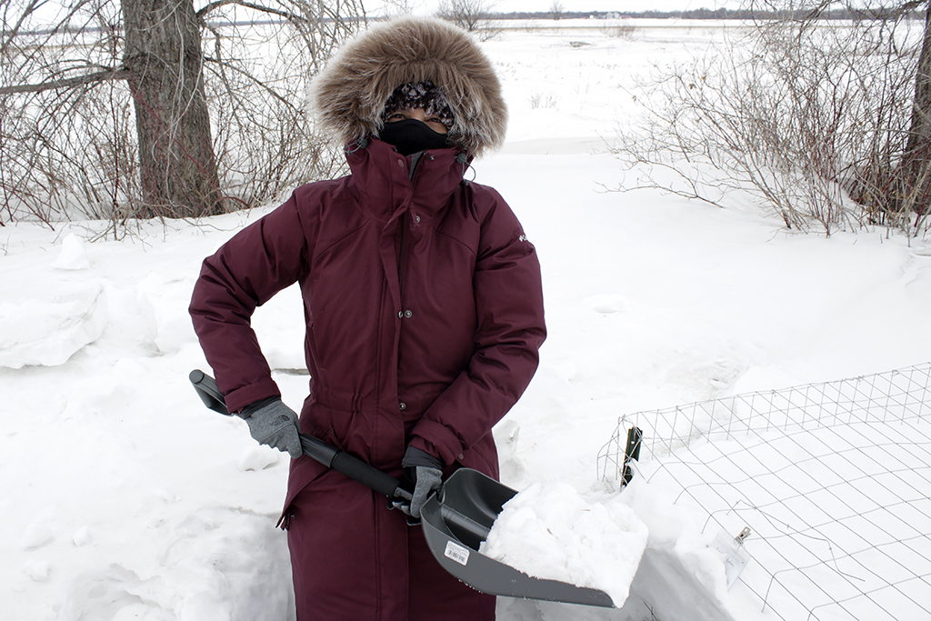 Forensic Science Director Lavinia Iancu in the field for pig decomposition research.