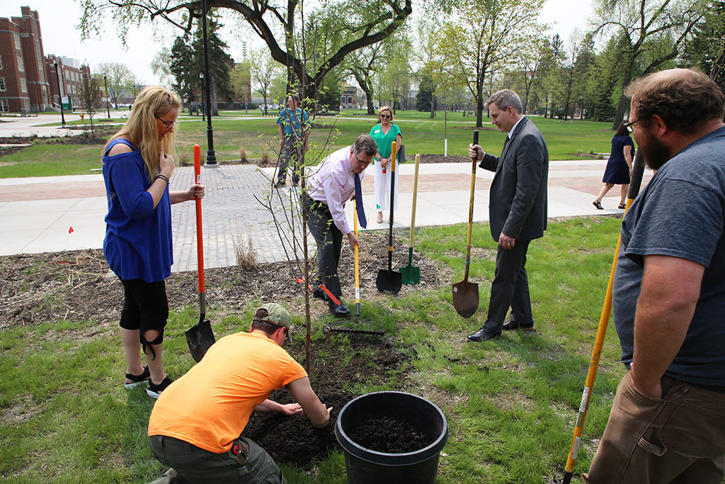 people planting a tree