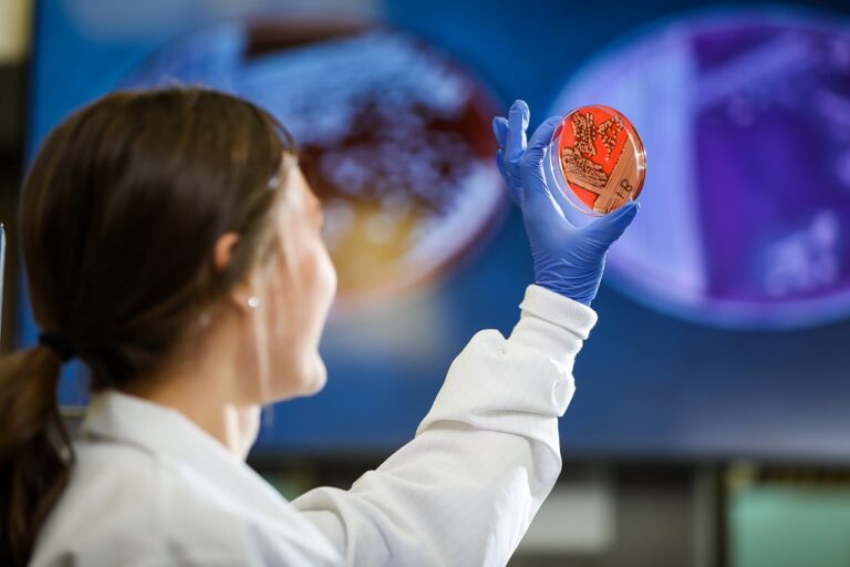 Person holding petri dish