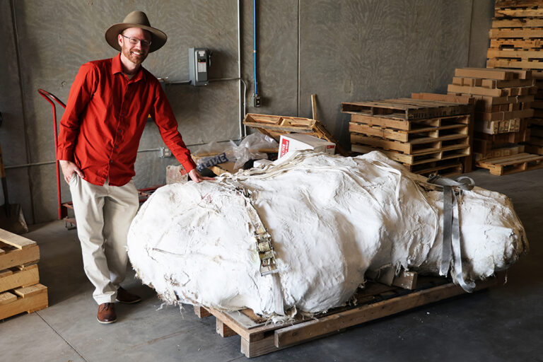 Professor next to dinosaur bones in plaster cast.