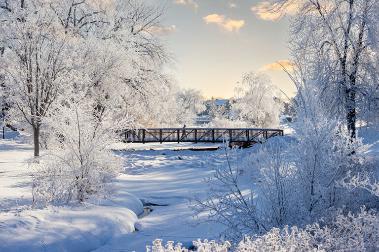 UND campus covered in snow