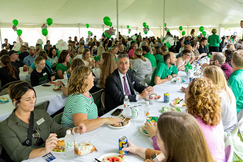 people attending a picnic