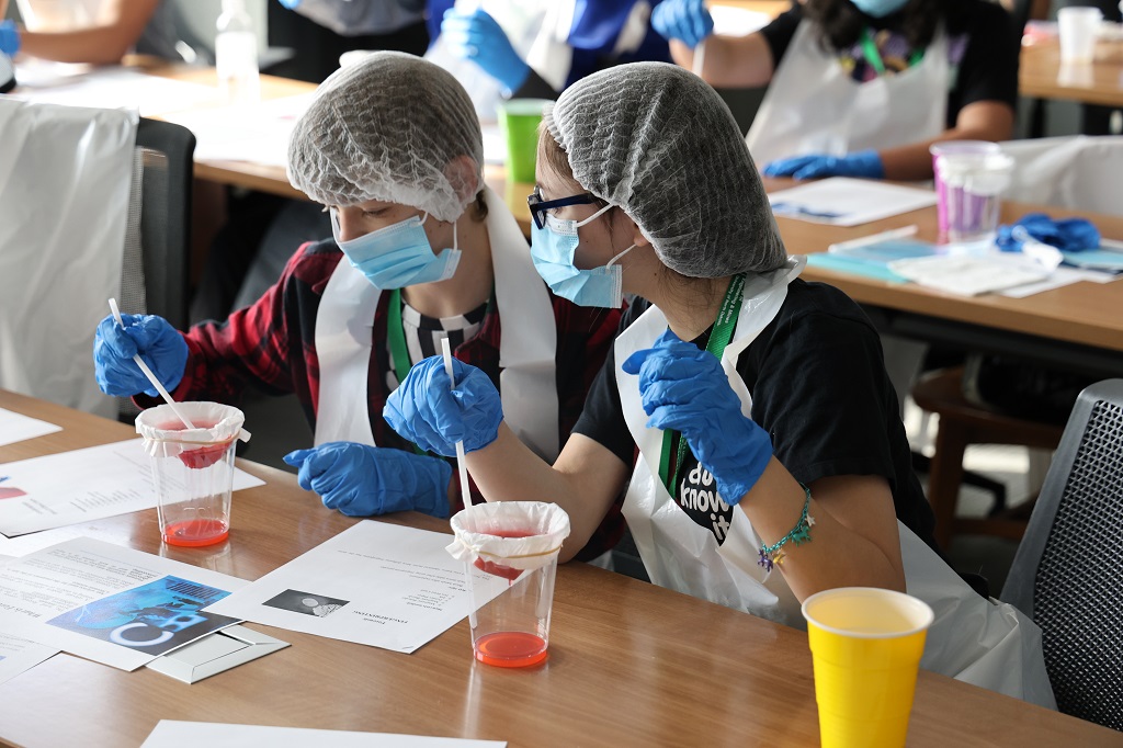 Middle school students extract DNA from strawberries.