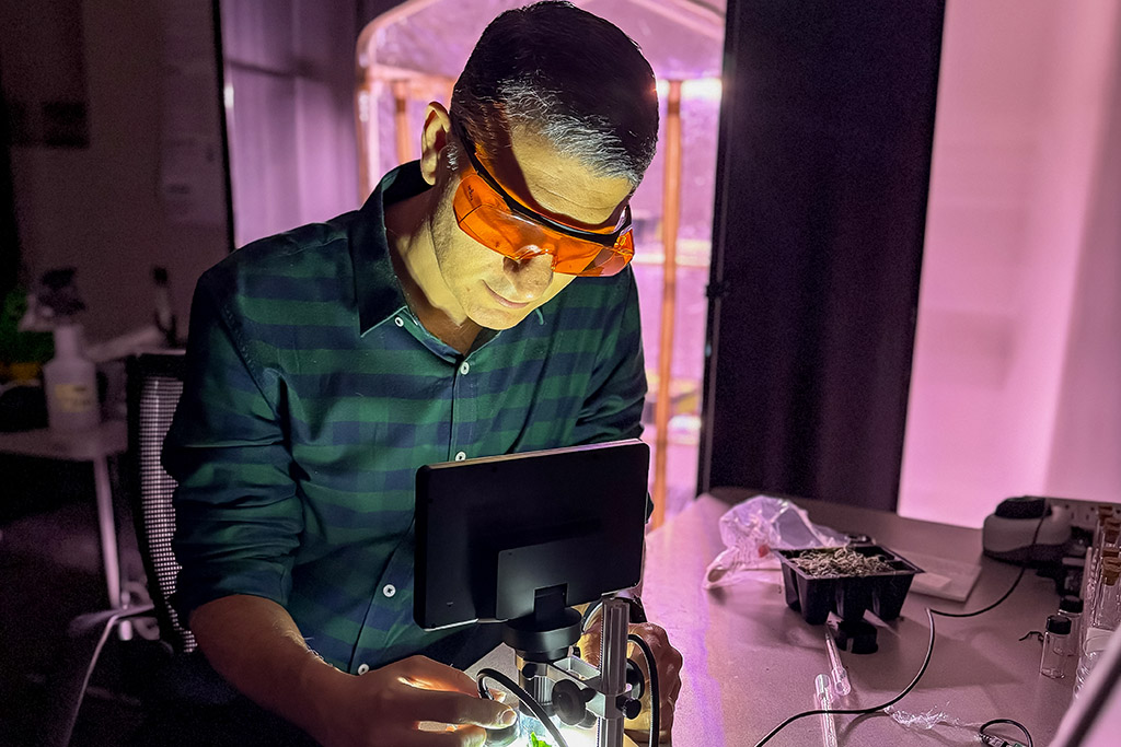 Hossein Kashani Zadeh, assistant professor of Mechanical Engineering