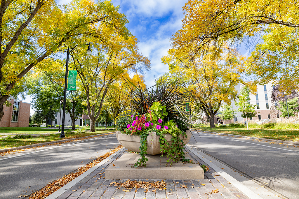 Fall view of University Avenue
