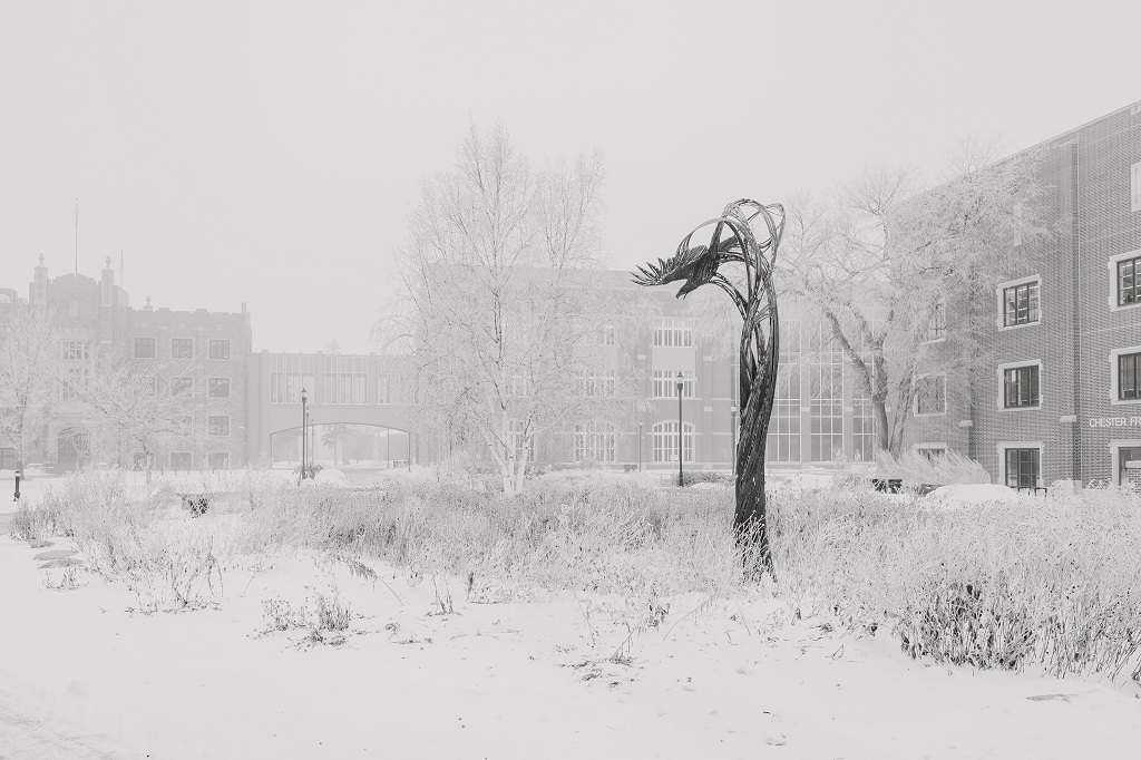 Soaring Eagle statue in UND quad, shrouded by wintry mist