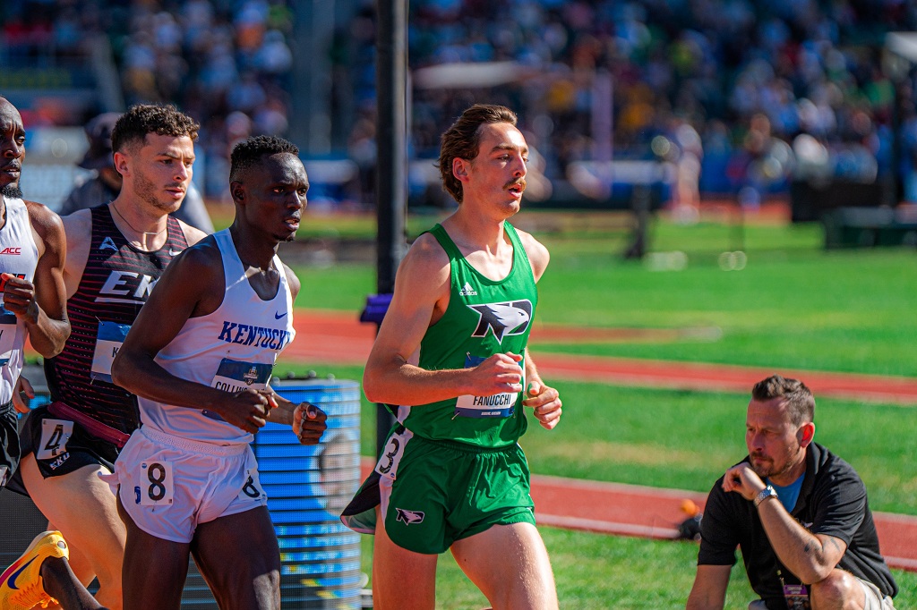 Runners take part in steeplechace event at NCAA Outdoor Track & Field Championships.