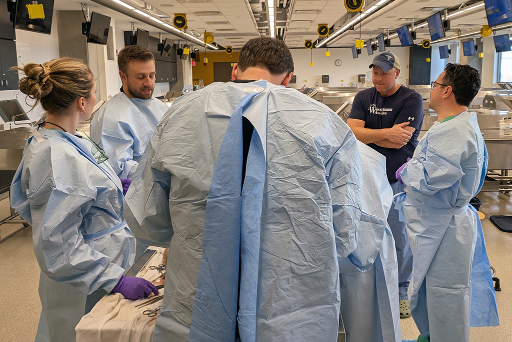 Surgeons gather around an operating table in a continuing education course