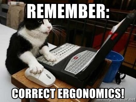 ergonomic cat
