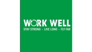 work well 300x170 KRW