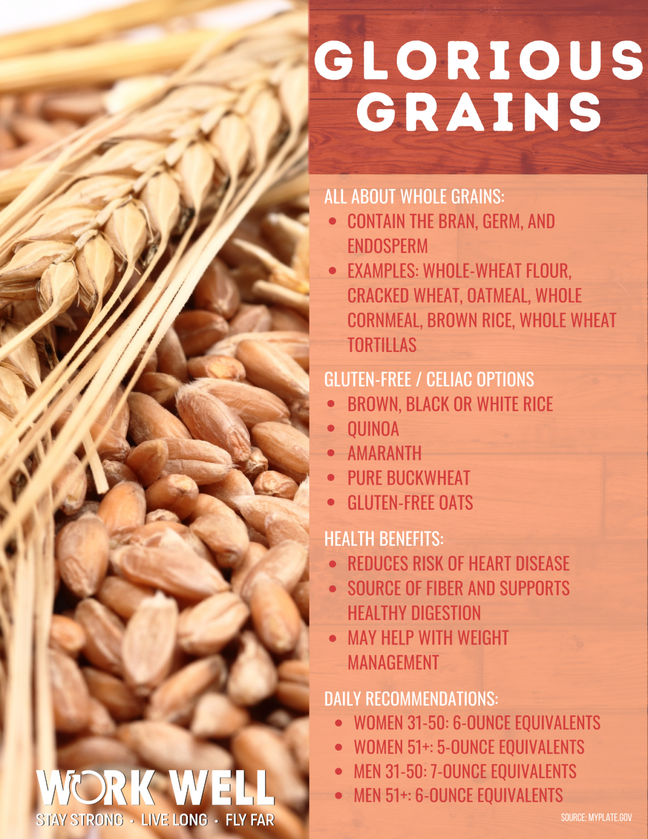 Glorious Grains Nutrition BINGO Spring 2023 KW
