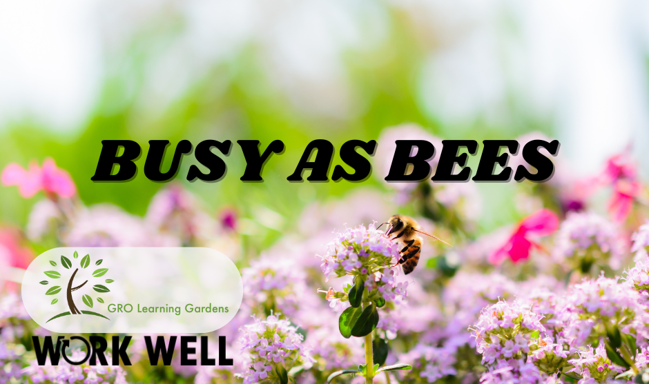 BUSY AS BEES events calendar
